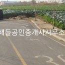 신정리민박 티스토리