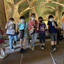 비호태권도장 이미지