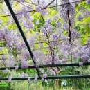 인계 블리비의원 이미지