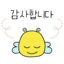 코스모엘엔비코스모와인 이미지