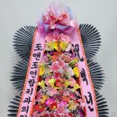 조앤조연합치과의원 이미지