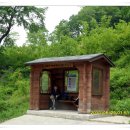 원창5리 이미지