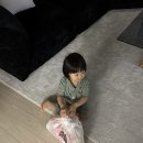 블루세탁 | 도씨 아기 잠옷 브랜드 추천 | 성수동 서울숲 매장 방문 후기