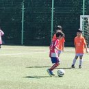 황성공원 축구공원 5구장 이미지