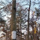 상몽1리야외운동기구 | [세종여행] 세종시 황우산 원점회귀 산행 : 황룡사-황우산-안산-청봉사-용대이산-황룡사