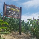 장생사슴농장 이미지