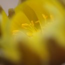 삼마치주유소 이미지