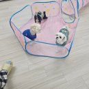 멍동댕유치원 이미지