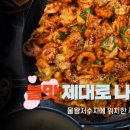 세이플러스팜 네이버블로그