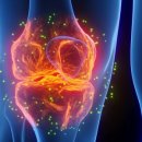 마스터연세정형외과의원 이미지