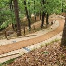 봉성산 공원 이미지