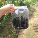 솔바위로그하우스 이미지