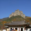 강산애