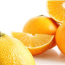 향긋농장 이미지