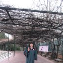 이화여자고등학교 이미지