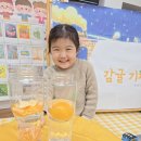 💚＜☃️겨울☃️＞ 🍊천연 귤 핫 팩 만들기🔥&amp; 귤과 물의 밀도 차 과학실험🔎🍊💚 이미지