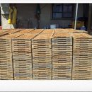 손불농장 이미지