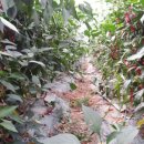 우리고추방앗간 이미지