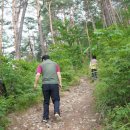 청송자연휴양림 이미지