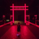 경북 경주 : 플래시백 계림 [내돈내산 솔직 후기✨️]