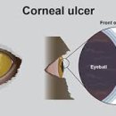스마일동물병원 이미지