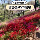 선사유적공원 | 부천 가볼만한곳 철쭉동산 봄꽃 명소 고강선사유적공원