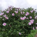 모듬내길 이미지