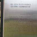 완도 신흥사 목조약사여래좌상 티스토리