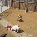 개편한집 이미지