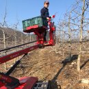 정 농원 이미지