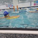 타잔 B&G 어린이 수영장 이미지