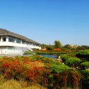 강동로6-6 네이버블로그