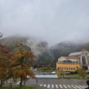 순동목장 | 강원 삼척 태백 여행 6갤 아기와 5살, 두 아들과 10월 비수기라 가능했던 후기