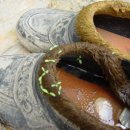 들꽃산장 이미지