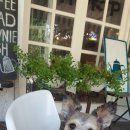 올데이멍 이미지