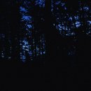 갈비왕국 이미지