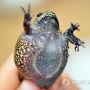 부영공원 이미지