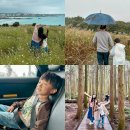 제주 택시투어 예약 비용 제주도 관광 택시 후기 자유여행 로이쿠 추천