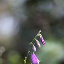 (주)이소 이미지