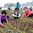 이종철 농장 이미지