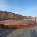 나무테크 이미지