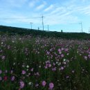 하얀구름 이미지