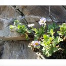 종기민박 이미지