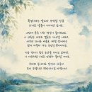 청춘고백. 불효자는 웁니다. 이미지