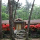 만수산자연휴양림 이미지