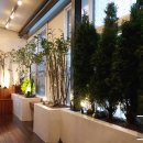 힐링 기타교실(통기타) 이미지