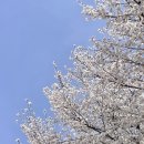 구암성당 앞 이미지