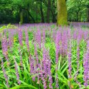 상호농장 이미지