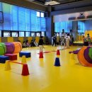 용인대윙스태권도장 이미지