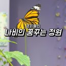 에버랜드 나비정원 기간 위치 시간 아기랑 가볼만한 곳